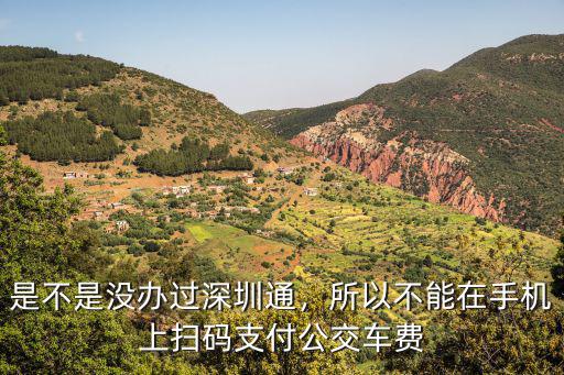 深圳坐公交支付寶怎么掃碼,深圳站暫停支付寶掃碼乘車