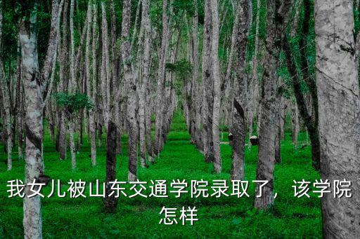 山東交通學(xué)院補(bǔ)考最高給多少,我女兒被山東交通學(xué)院錄取了