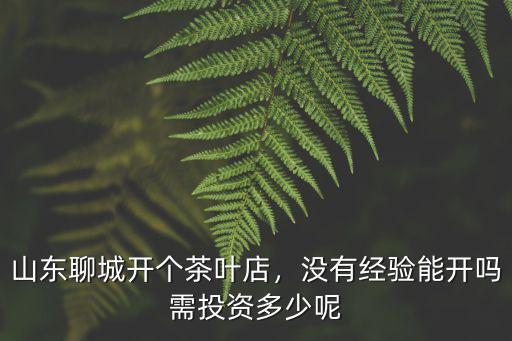 山東聊城縣衙新建總共投資多少錢,需投資多少呢