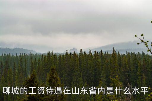 聊城一個月2000工資是多少,夫妻倆每月工資4000塊