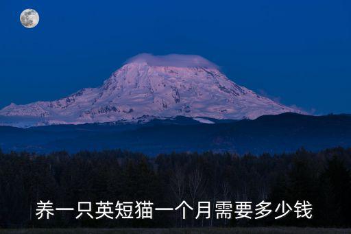 養(yǎng)一只英短貓一個月需要多少錢