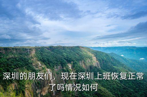 深圳的朋友們，現在深圳上班恢復正常了嗎情況如何