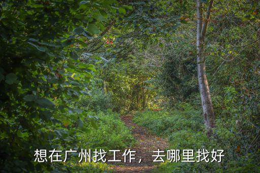 廣州的工作經(jīng)驗(yàn)怎么找,想在廣州找工作
