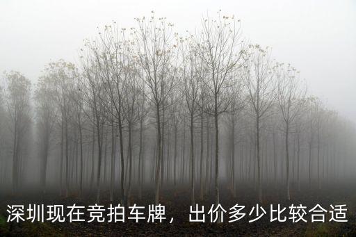 深圳本月車牌中標價是多少,深圳車牌過戶值多少錢