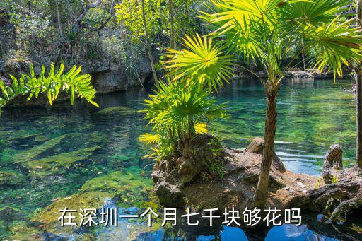 深圳高工資多少錢一個月,在深圳一個月七千塊夠花嗎