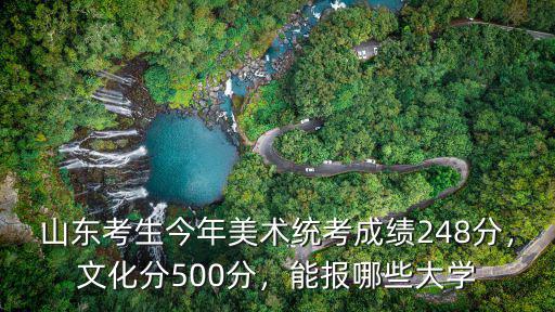 山東考生今年美術統考成績248分，文化分500分，能報哪些大學