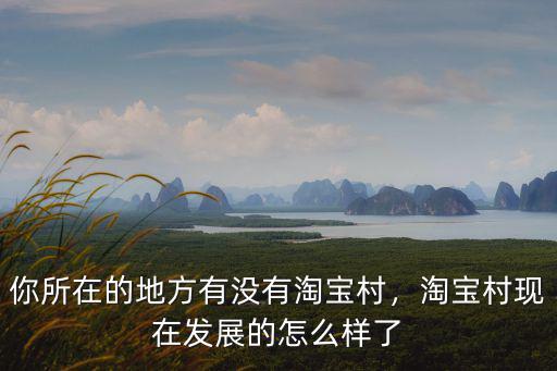 你所在的地方有沒有淘寶村，淘寶村現(xiàn)在發(fā)展的怎么樣了