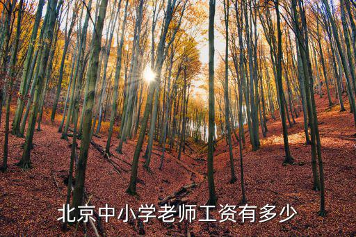 北京中小學老師工資有多少