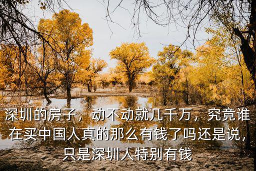 深圳市最有錢的人住哪里,只是深圳人特別有錢