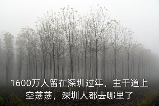 1600萬人留在深圳過年，主干道上空蕩蕩，深圳人都去哪里了