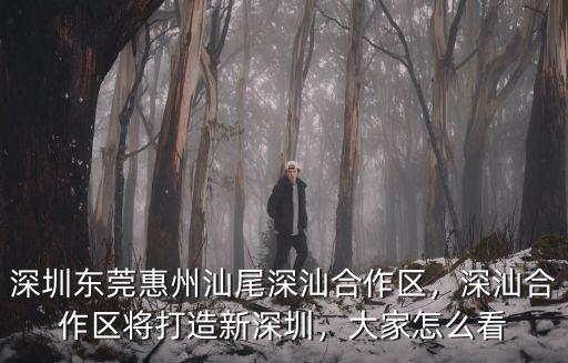 深汕合作區到深圳怎么走,深汕合作區將打造新深圳