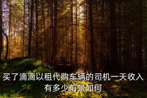 杭州滴滴租車費用是多少,打算在杭州租輛合規車