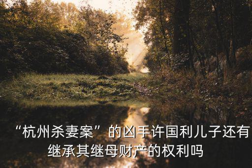杭州殺妻案女子有多少財產,杭州許某某殺妻案