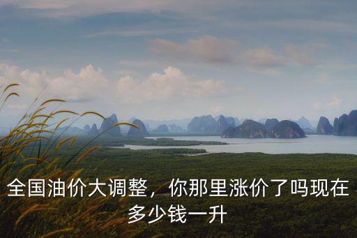 浙江現(xiàn)在油價92多少錢一升,全國油價大調(diào)整