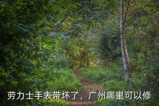 廣州勞力士表在哪里維修,勞力士手表帶壞了