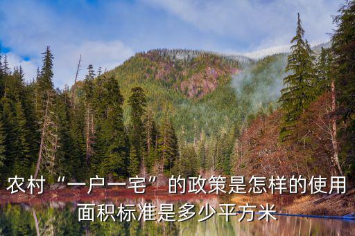 山東省聊城市一戶一宅多少面積,農(nóng)村實行一戶一宅