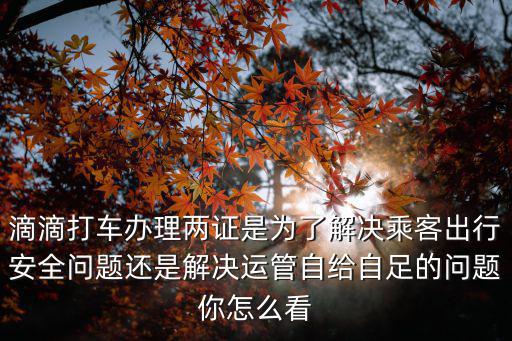 滴滴打車辦理兩證是為了解決乘客出行安全問題還是解決運(yùn)管自給自足的問題你怎么看