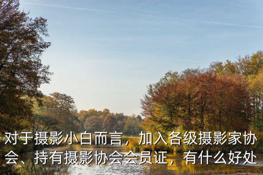 寧波市攝影家協(xié)會有多少會員,中國攝影家協(xié)會有多少會員