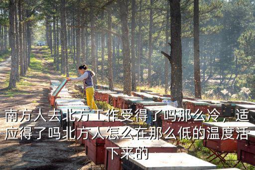 南方人去北方工作受得了嗎那么冷，適應得了嗎北方人怎么在那么低的溫度活下來的