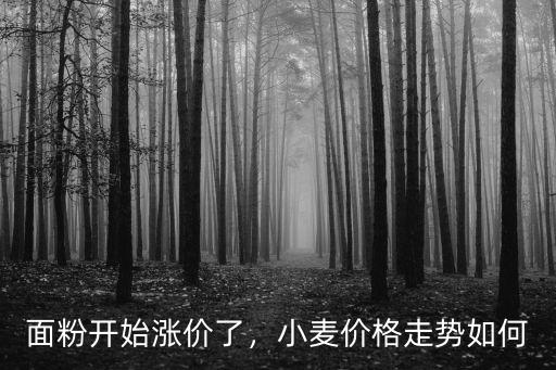 臨沂小麥面粉價格多少,今后小麥和面粉價格走勢如何