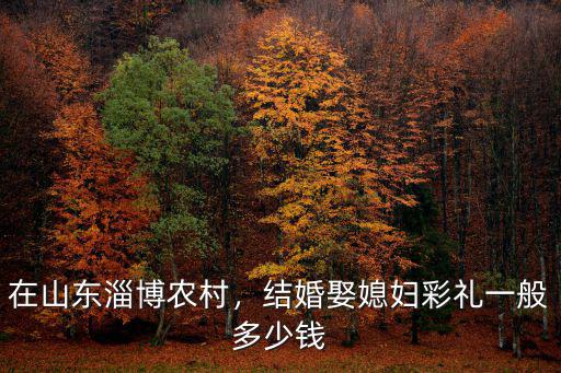 山東寧陽(yáng)結(jié)婚多少錢(qián),山東東營(yíng)現(xiàn)在訂婚彩禮多少錢(qián)