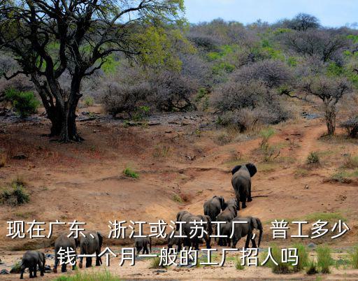 浙江織布廠多少錢一個月,浙江或江蘇工廠