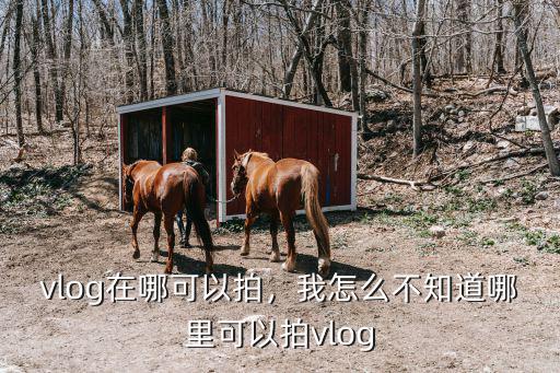 vlog在哪可以拍，我怎么不知道哪里可以拍vlog
