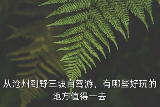從滄州到野三坡自駕游，有哪些好玩的地方值得一去