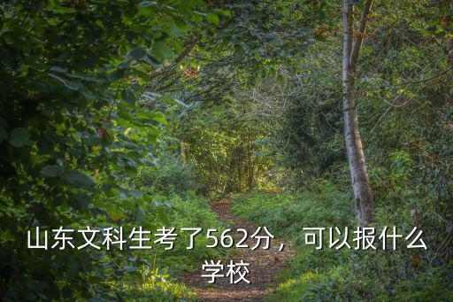 山東文科生考了562分，可以報什么學校