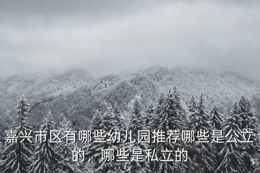 嘉興民辦有多少幼兒園,嘉興的民辦學校怎么樣
