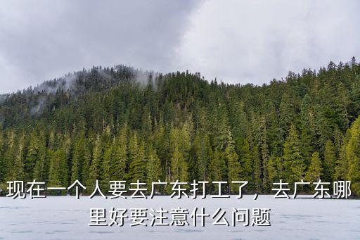 祁陽人到廣東打工有多少人,現在一個人要去廣東打工了