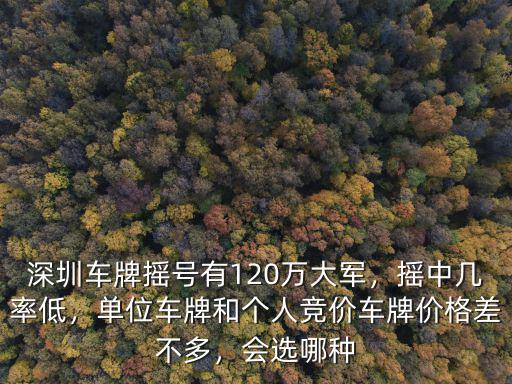 深圳車牌競(jìng)價(jià)怎么回事,深圳車牌搖號(hào)有120萬大軍