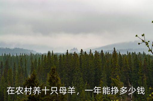 臨沂的山母羊多少錢一只,7只羔羊能價值多少錢