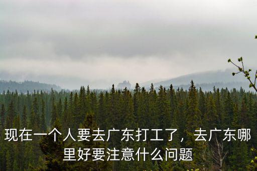 現在一個人要去廣東打工了，去廣東哪里好要注意什么問題