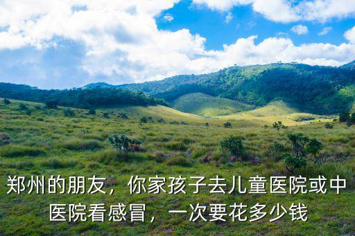 鄭州的朋友，你家孩子去兒童醫院或中醫院看感冒，一次要花多少錢