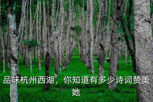品味杭州西湖，你知道有多少詩(shī)詞贊美她