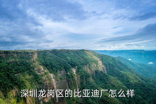 深圳龍崗寶龍比亞迪公司怎么樣,我在深圳比亞迪工廠上班