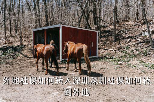 深圳社保怎么轉(zhuǎn)到其他城市,深圳社保如何轉(zhuǎn)到外地
