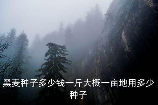 青島種麥子一畝地多少斤種子,黑麥種子多少錢一斤