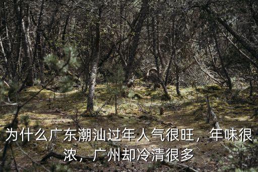 為什么廣東潮汕過年人氣很旺，年味很濃，廣州卻冷清很多