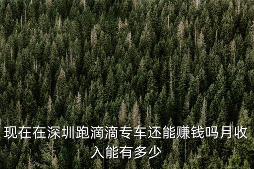 在深圳跑專車一個月能收入多少,跑滴滴一個月能賺多少