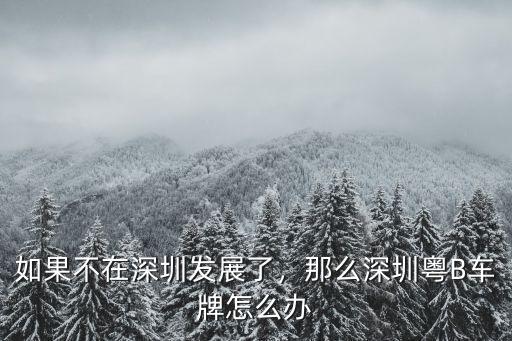 如果不在深圳發(fā)展了，那么深圳粵B車牌怎么辦