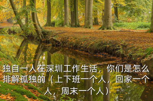 獨自一人在深圳工作生活，你們是怎么排解孤獨的（上下班一個人，回家一個人，周末一個人）