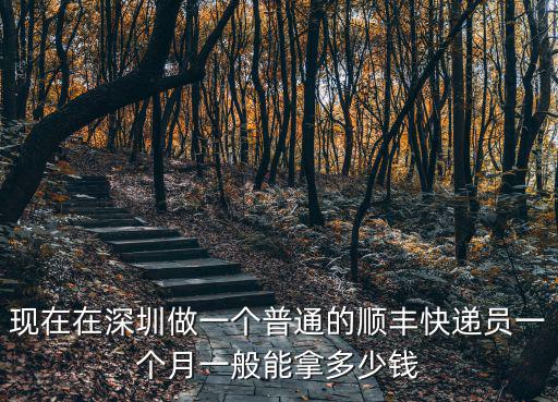 現在在深圳做一個普通的順豐快遞員一個月一般能拿多少錢