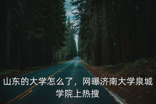 濟南大學泉城學院重修要多少錢,網(wǎng)曝濟南大學泉城學院上熱搜