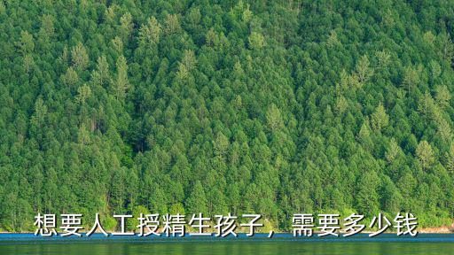嘉興人工授精多少錢,想要人工授精生孩子