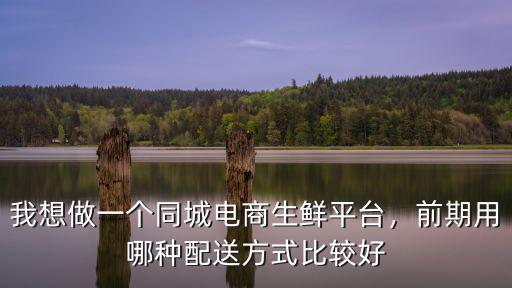 我想做一個同城電商生鮮平臺，前期用哪種配送方式比較好