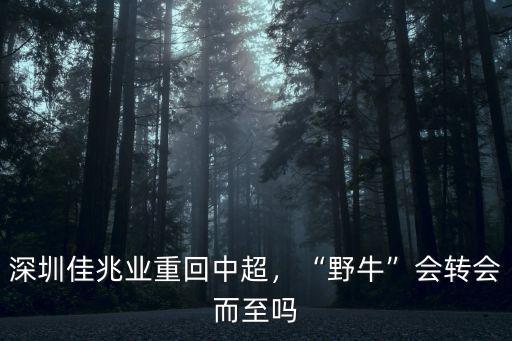 中超沒有深圳會怎么樣,深圳佳兆業(yè)重回中超