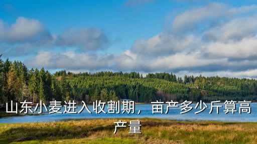 東營(yíng)種小麥畝產(chǎn)多少斤,小麥畝產(chǎn)1100斤
