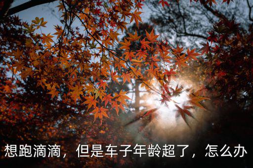 廣州跑滴滴怎么申請(qǐng)營(yíng)運(yùn)證,跑滴滴怎么辦理